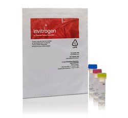 Invitrogen Kit de etiquetado de células Vybrant Multicolor (soluciones